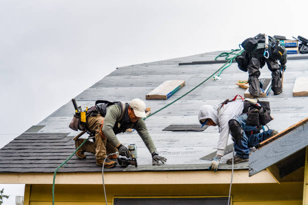 Professional Gutter Installation technician working in Alloy, WV